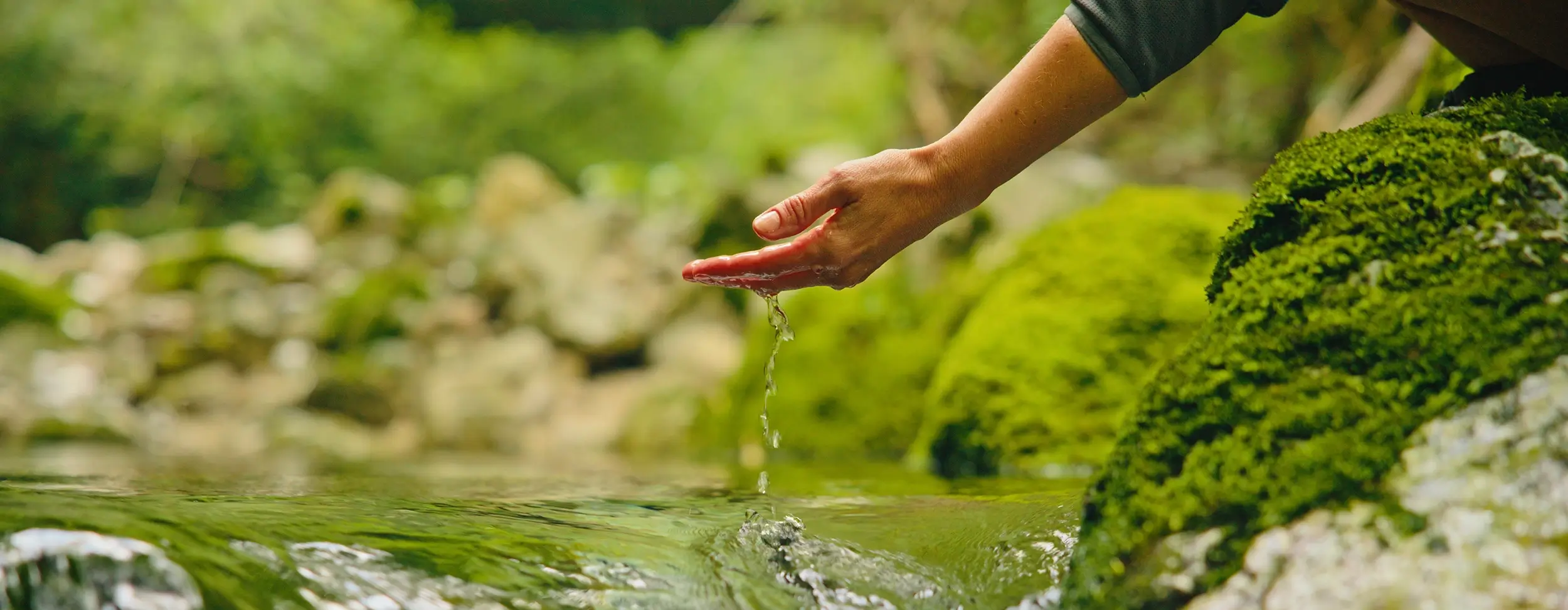 ION is focused on delivering innovative solutions to end the waste of water in the built world. This includes working to connect our End-to-End Water Management solution with corporate Volumetric Water Benefit (VWB) goals.