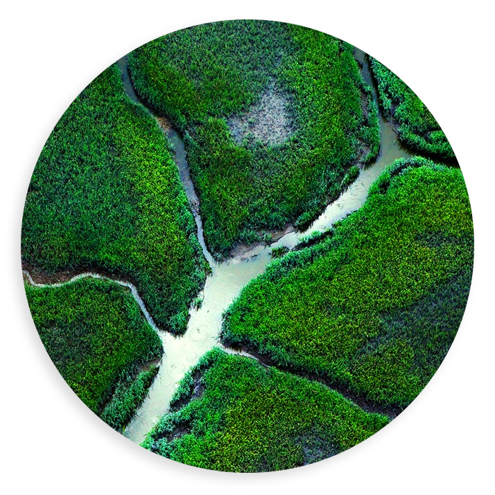 Volumetric Water Benefit Image