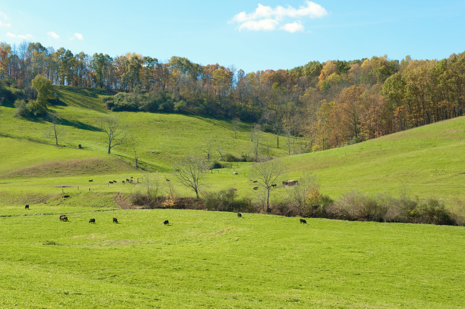 ION partners with Amazon to conserve water at affordable housing communities in Northern Virginia.